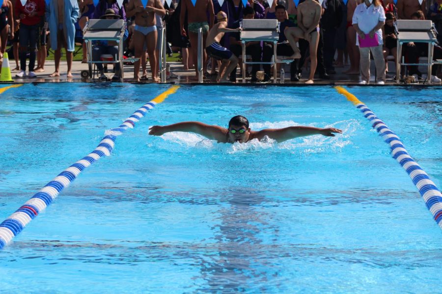 Julian Sanchez competes in the butterfly during a recent competition. 