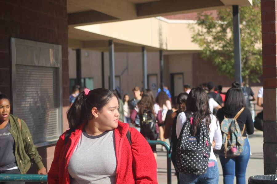 A photo showing students at Ridgeview high before the pandemic started. 