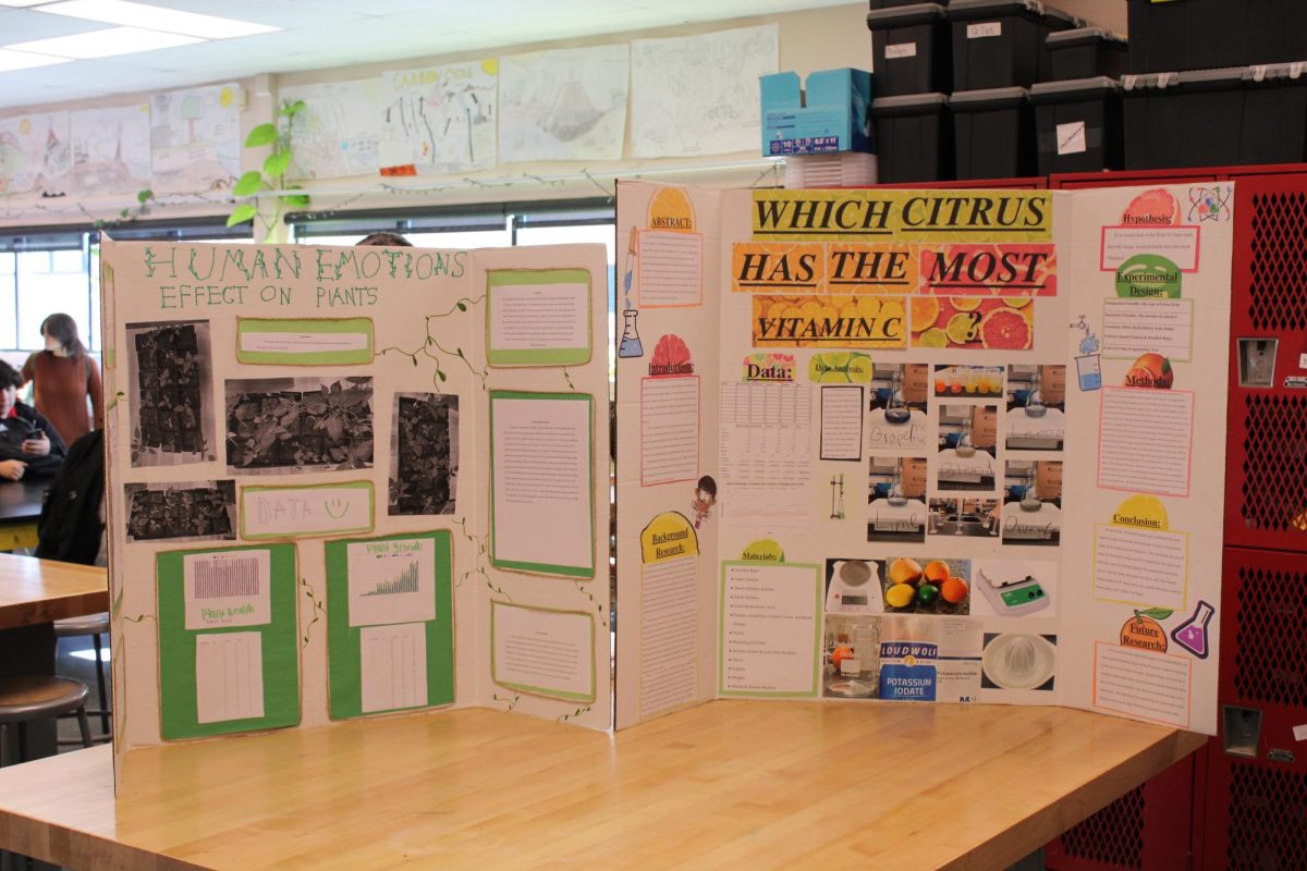 A picture of two science fair boards competing in this years annual science fair. 