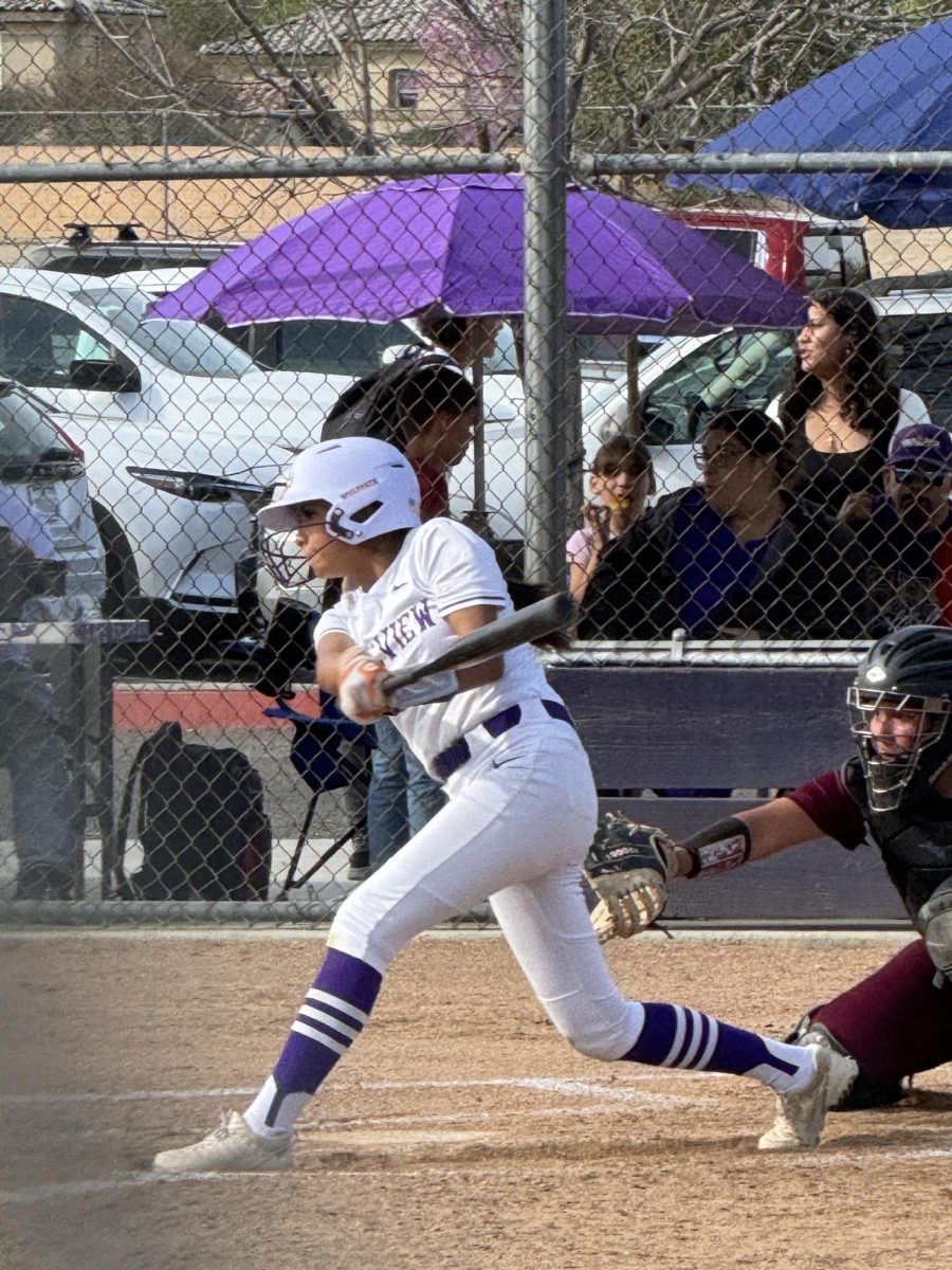Caitlyn Mejia gets ready at the plate during a recent game.