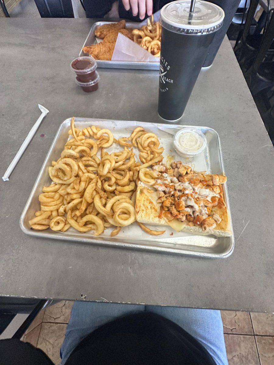 Buffalo chicken sandwich with a side of fries