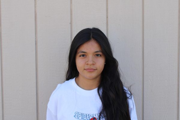 Atziry Martinez Sandoval