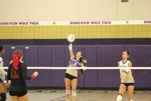 Amira Dhindsa hitting the ball to the other opponent North Highschool 